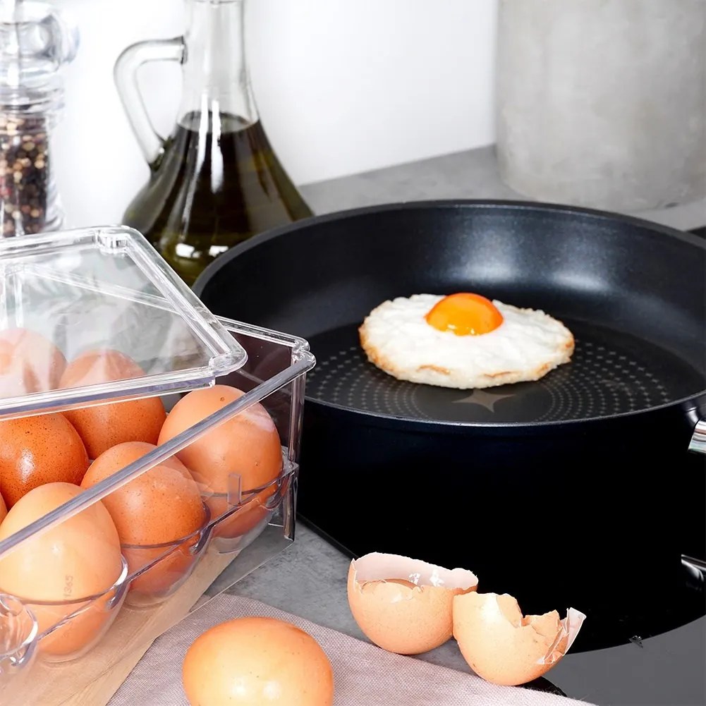 VILDE Úložný box na vajíčka, organizér na 24ks vajec, akryl transparentný