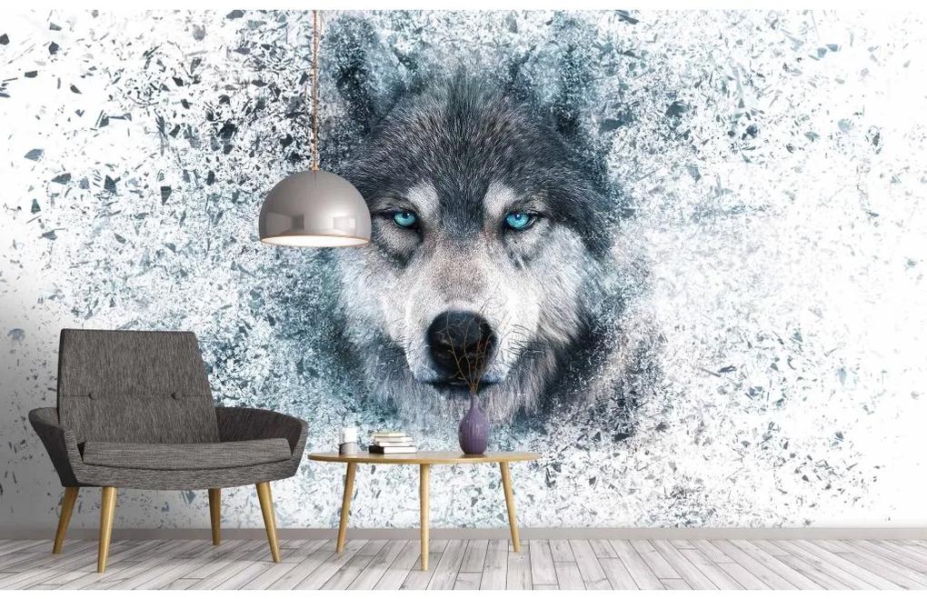 Fototapeta na stenu Wolf
