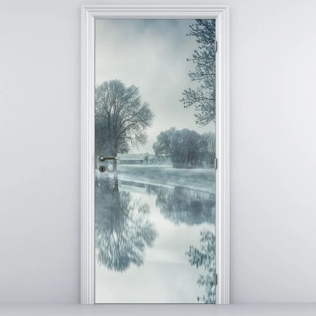 Fototapeta na dvere - Zimná príroda (95x205cm)