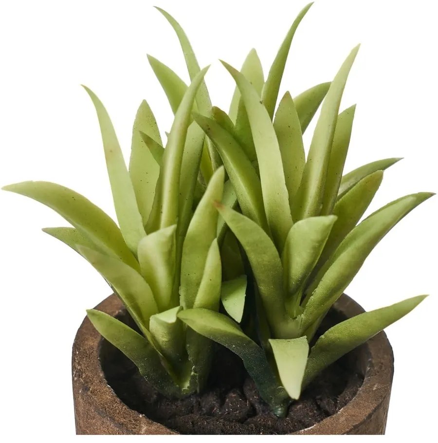 Umelé rastliny v súprave 4 ks (výška 10 cm) Cactus – Casa Selección