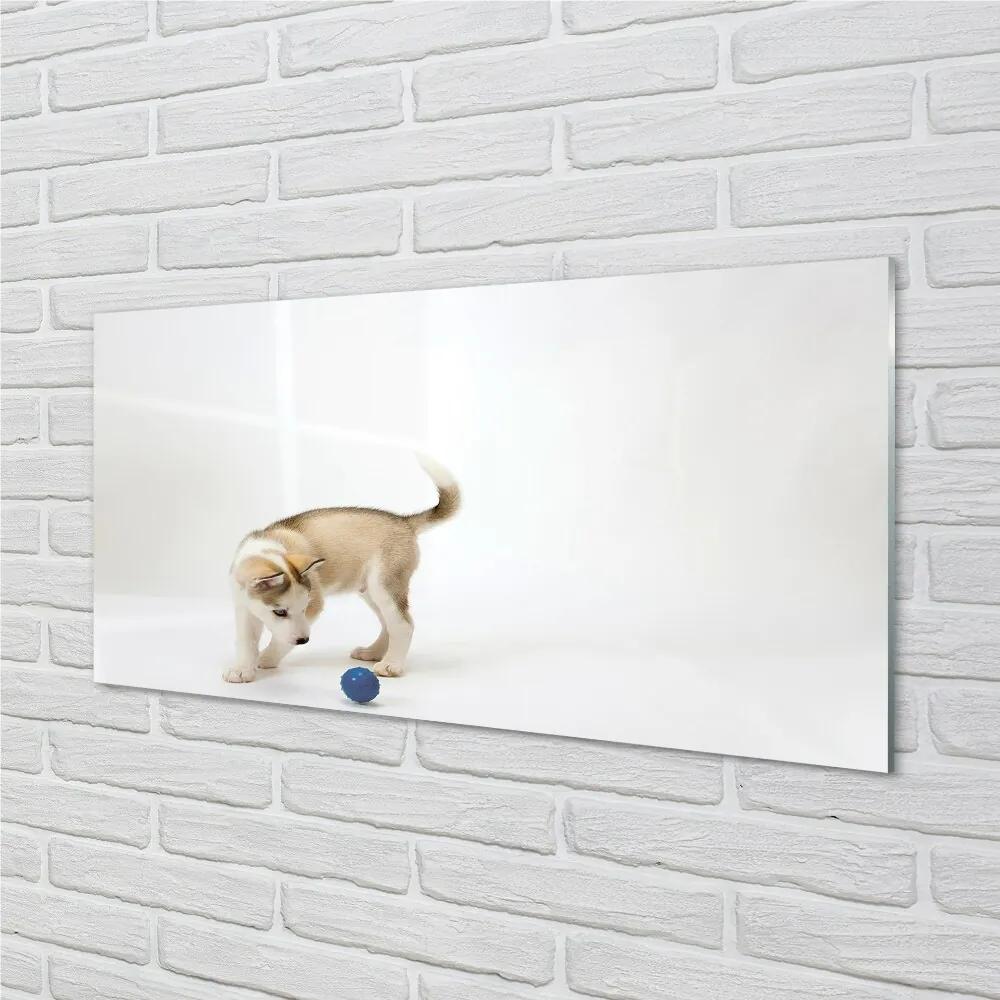 Sklenený obraz Hrať s tým psom 140x70 cm