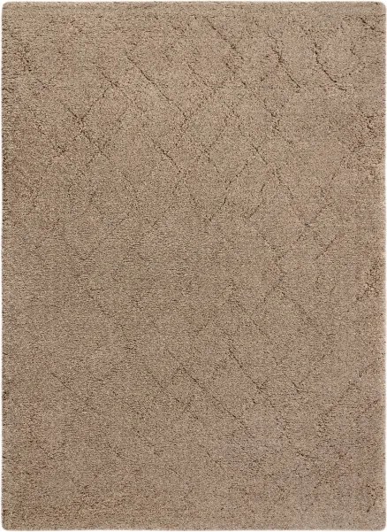 Koberec DUNE WOOL 497 06 TM620 hnedý