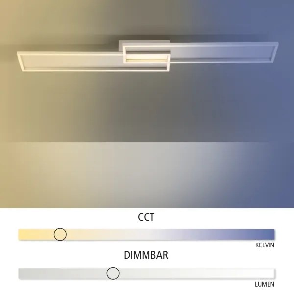 Paul Neuhaus 8371-55 - LED Stmievateľné stropné svietidlo AMARA LED/40W/230V + DO