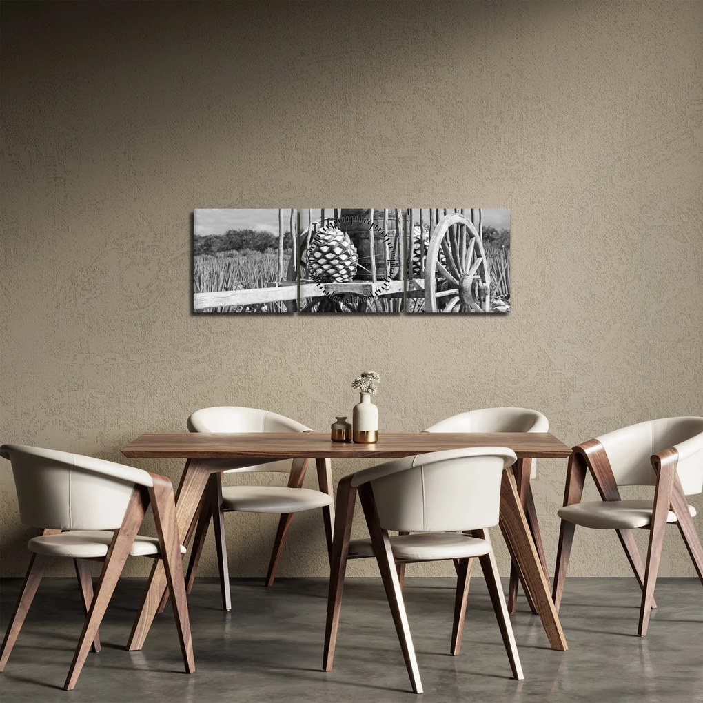 Obraz - Prívesný vozík, čiernobiela (s hodinami) (90x30 cm)