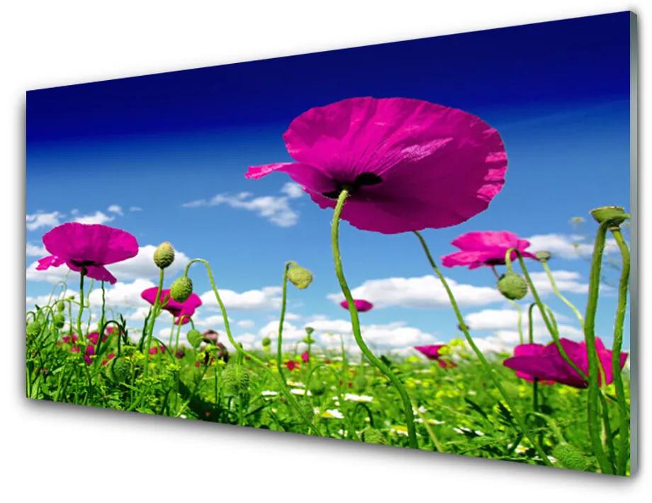 Skleneny obraz Lúka kvety nebo príroda 100x50 cm