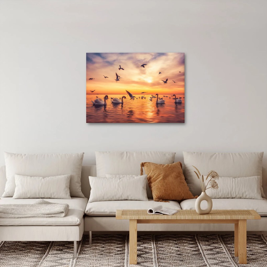 Obraz - Labute (70x50 cm)