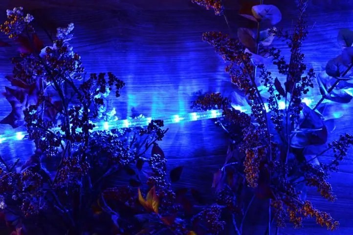 Nexos 553 LED svetelný kábel 20 m - modrá, 480 diód