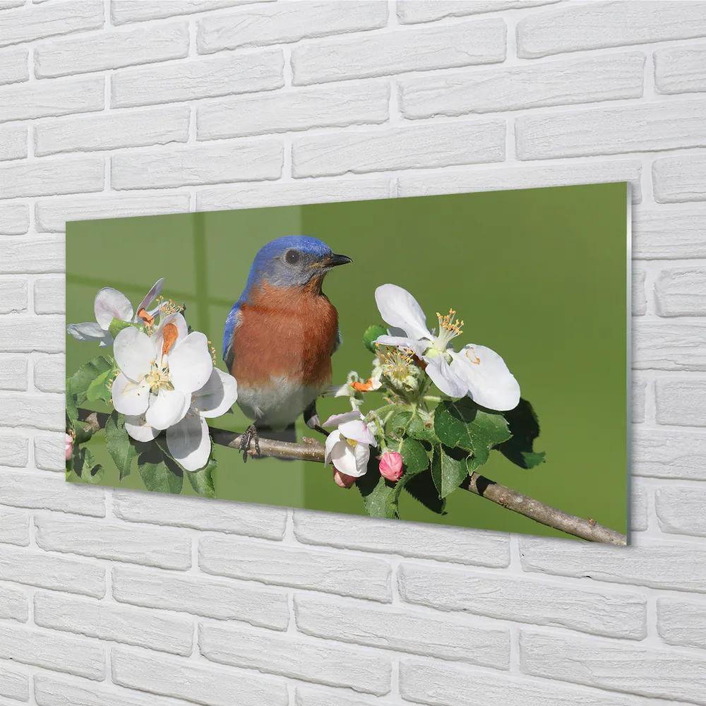 Obraz na akrylátovom skle Kvety farebné papagáj 140x70 cm