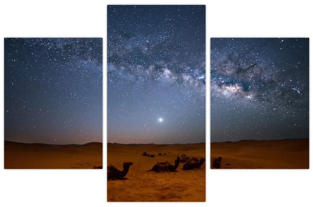 Obraz - Noc v púšti (90x60 cm)