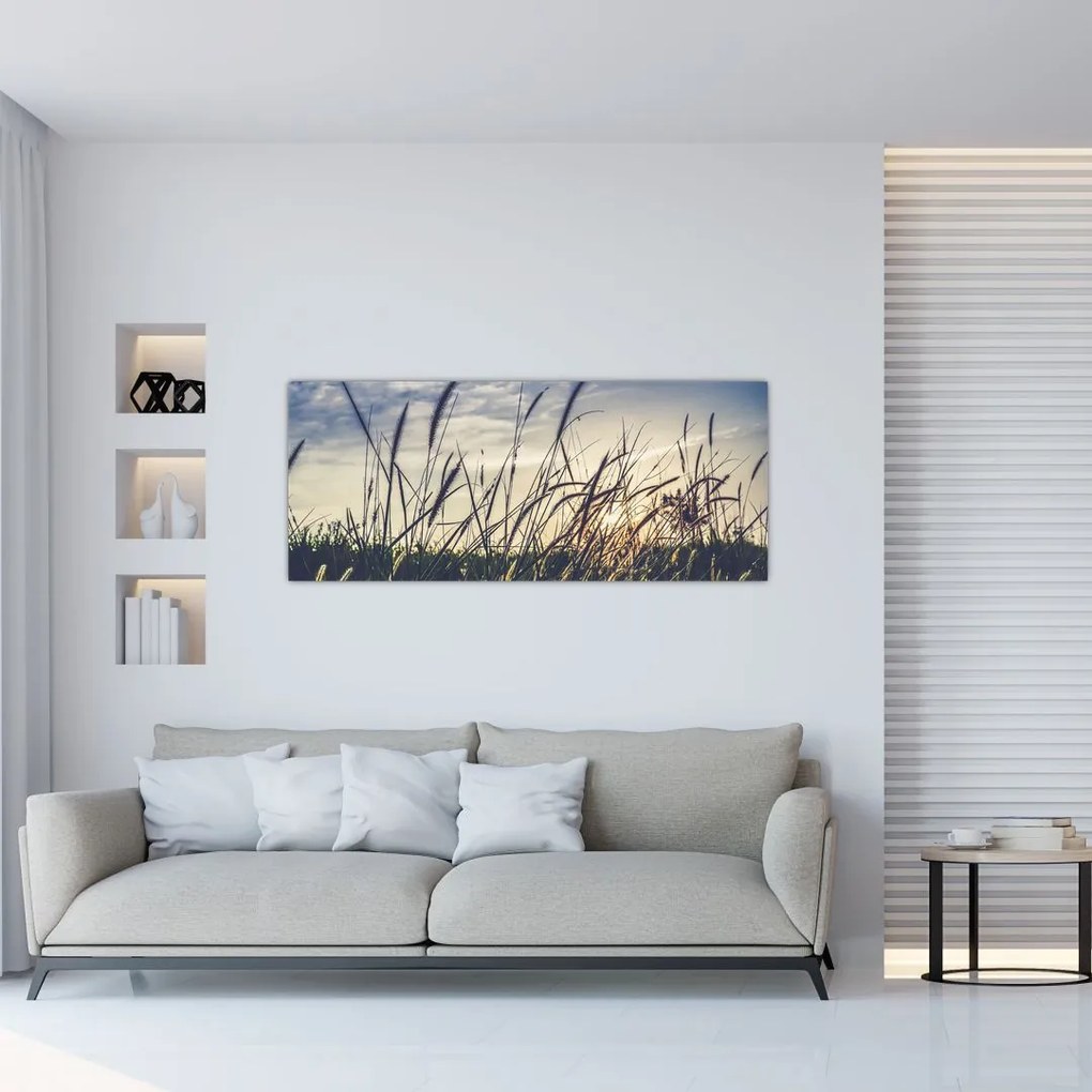 Obraz lúčnych kvetov (120x50 cm)