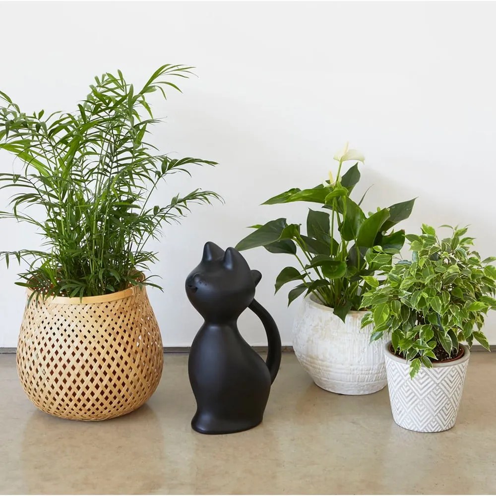 Plastová kanvička na zalievanie 2 l Meow – Balvi