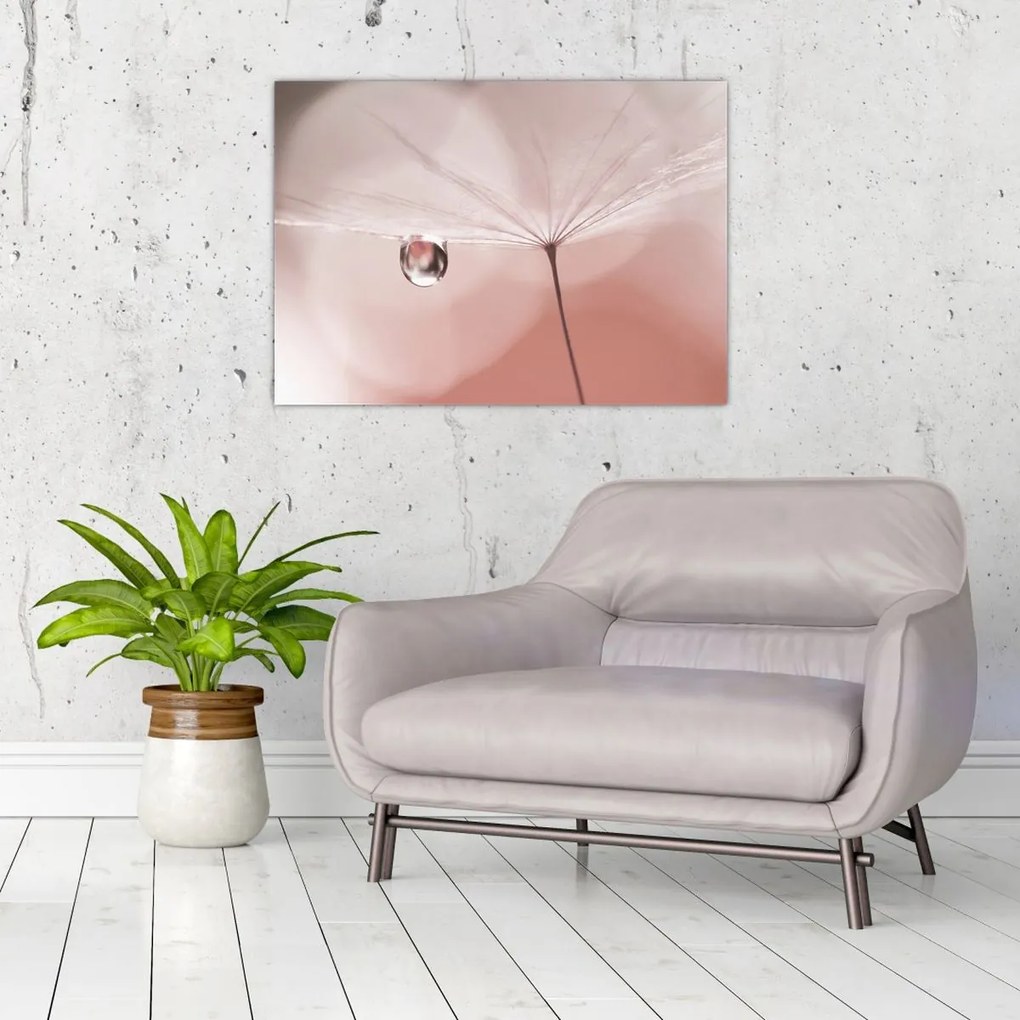 Obraz - Kvapka rosy (70x50 cm)