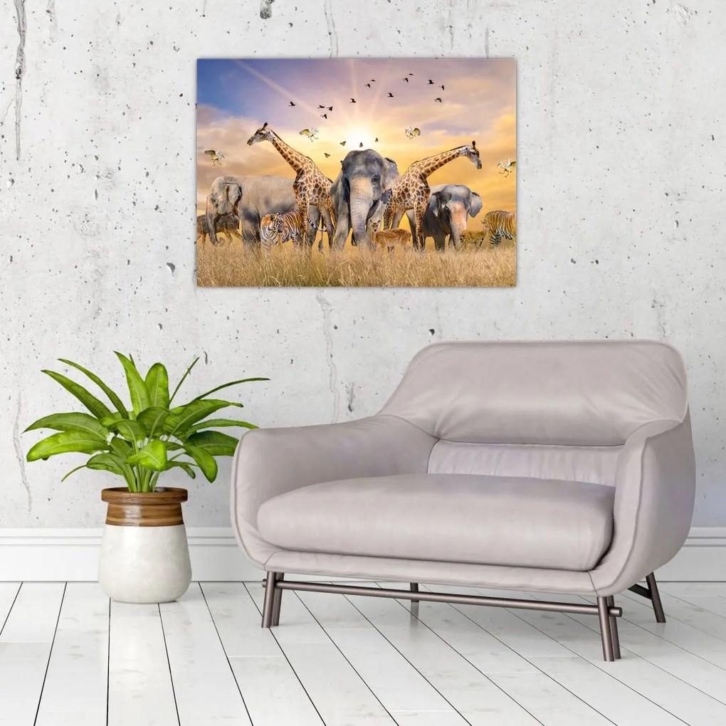 Sklenený obraz - Africké zvieratá (70x50 cm)