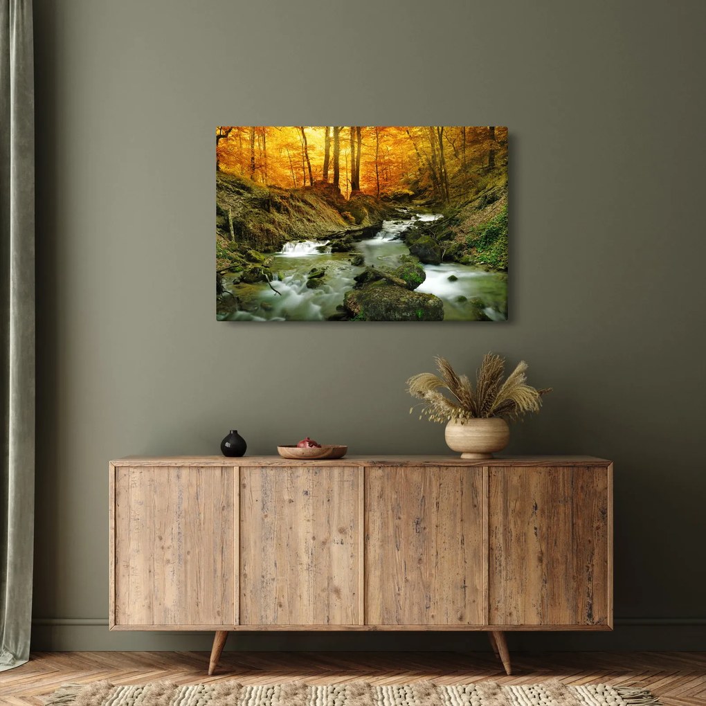 Obraz - Les (90x60 cm)