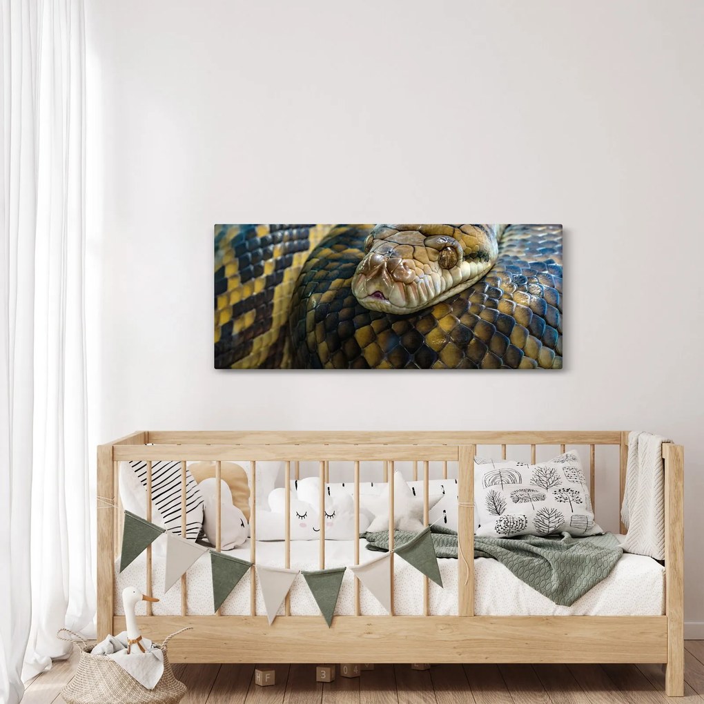 Obraz - Pytón (120x50 cm)