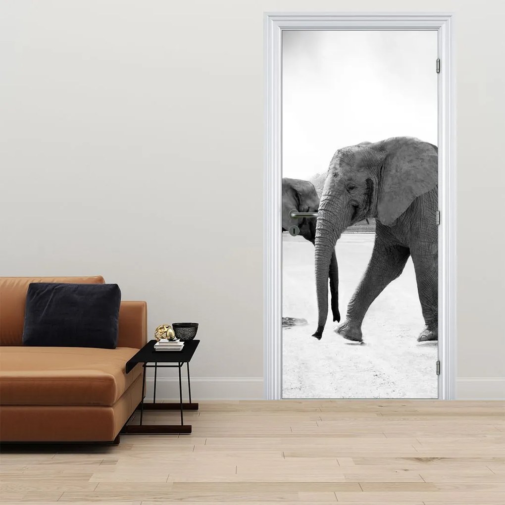 Fototapeta na dvere - Slony (95x205cm)