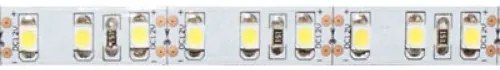 ECOLIGHT LED pásik - SMD 2835 - 5m - 600/5m - 9,6 W/m - IP20 - studená biela
