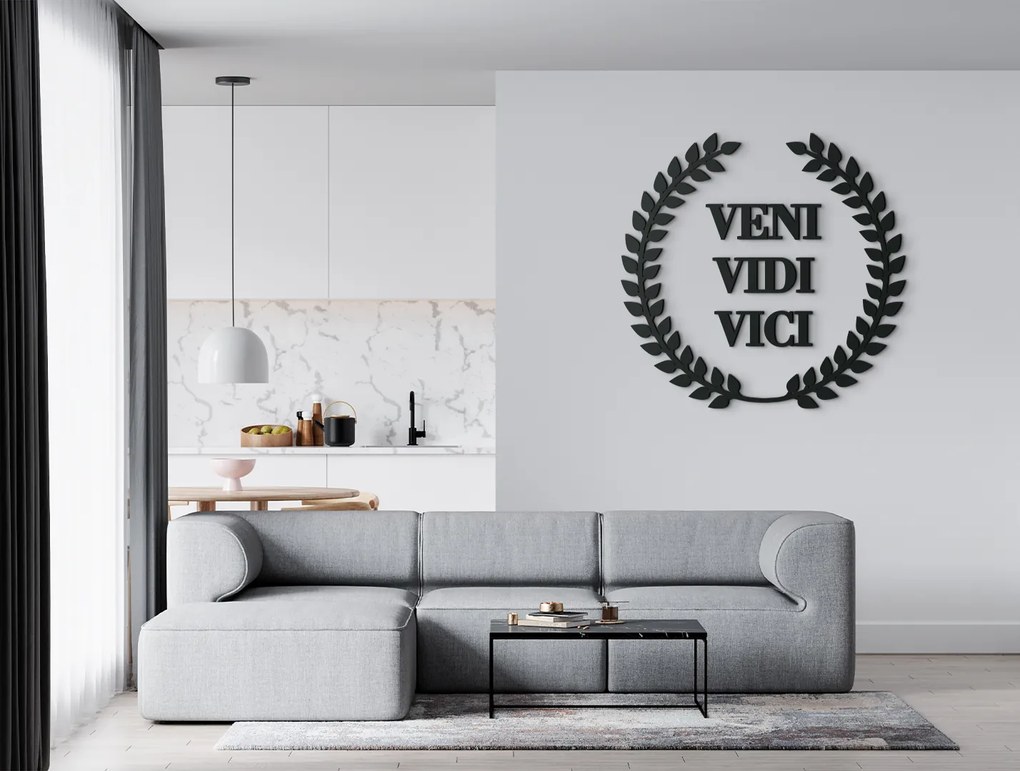 drevko Drevený nápis Veni vidi vici Rozmer obrazu: 44,5 x 46 cm, Farba dekorácie: Čierna