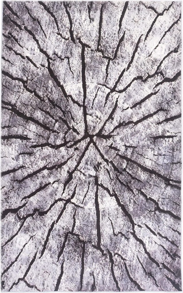 TZ Obdĺžnikový vzorovaný koberec Neo Rozmer: 120x170 cm