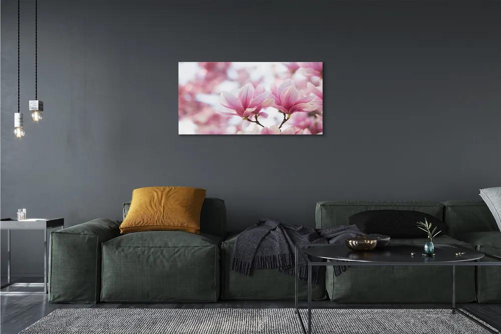 Obraz canvas magnólia strom 100x50 cm
