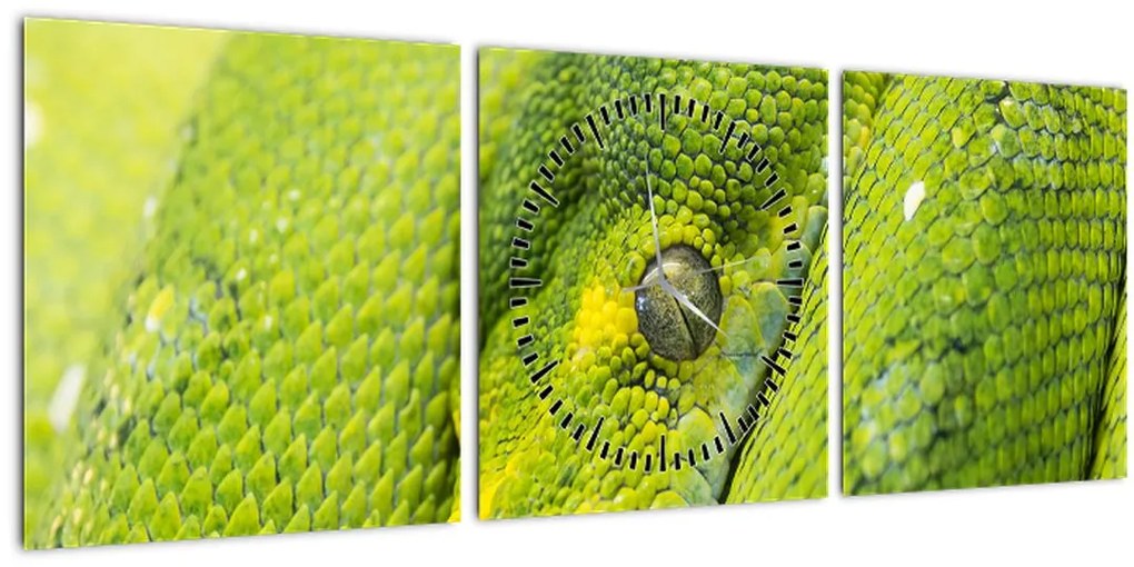 Obraz hada (s hodinami) (90x30 cm)