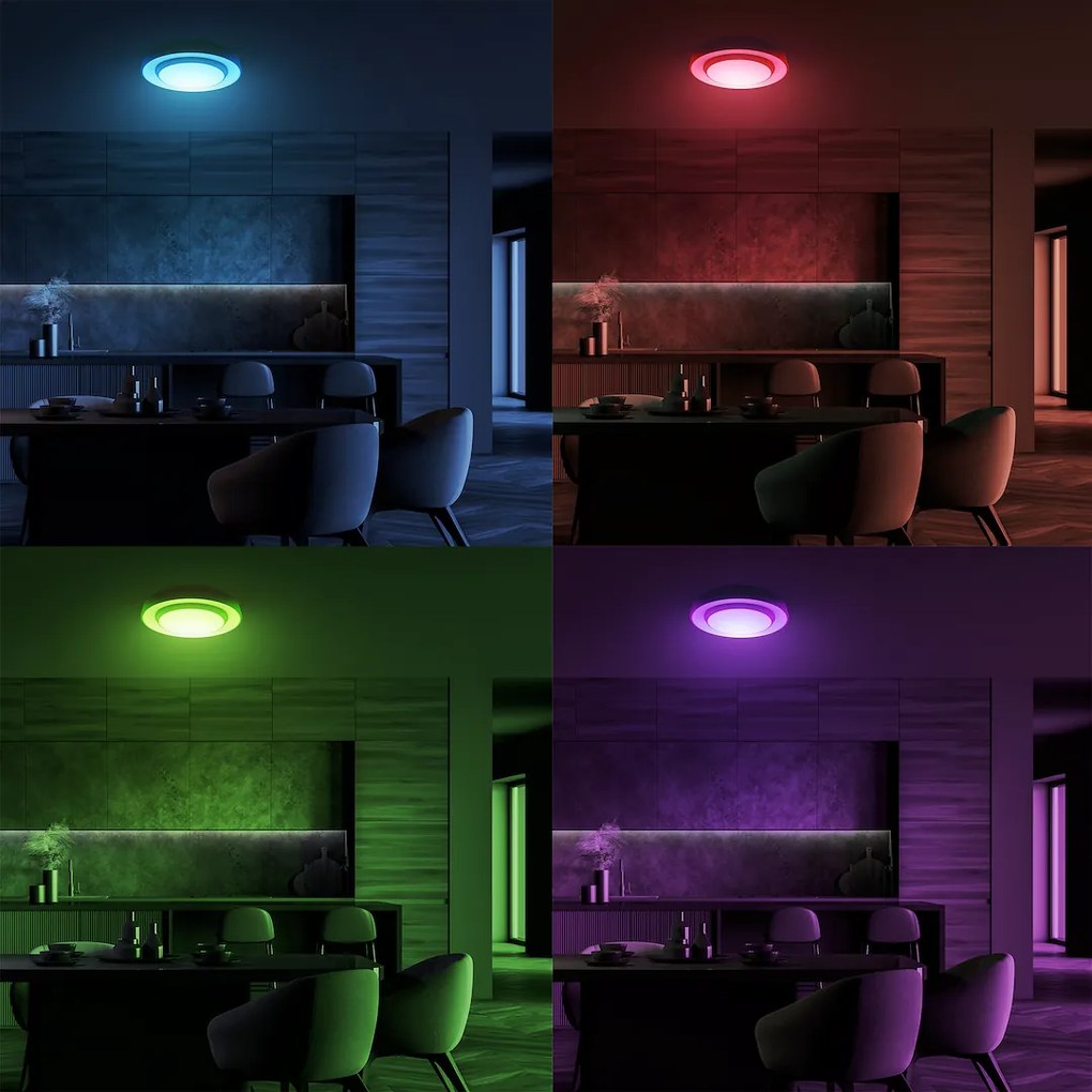 Stropné LED svietidlo Naomi Smart, 1x LED 24w, 3000-6000k, b, RGB, s ovládačom