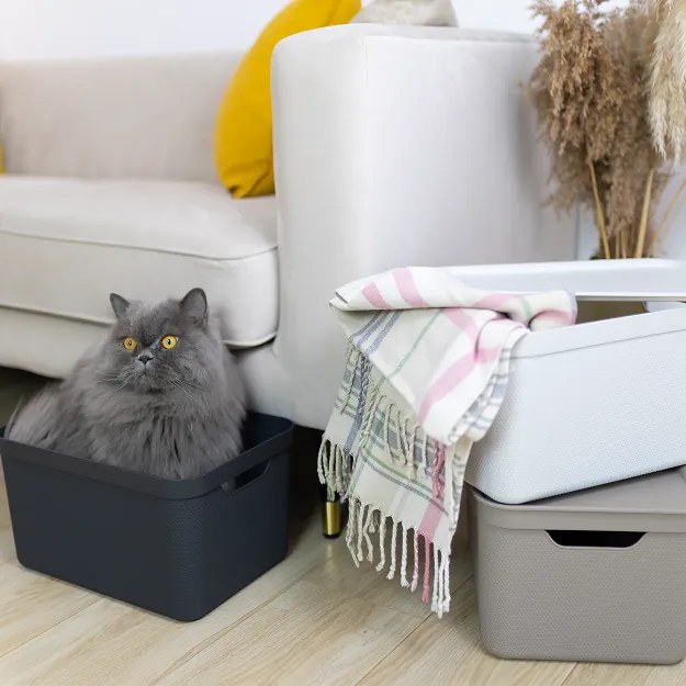 Rotho Úložný dekoratívny box s vekom DECO JIVE 5 l - cappuccino, 26 x 18 x 13