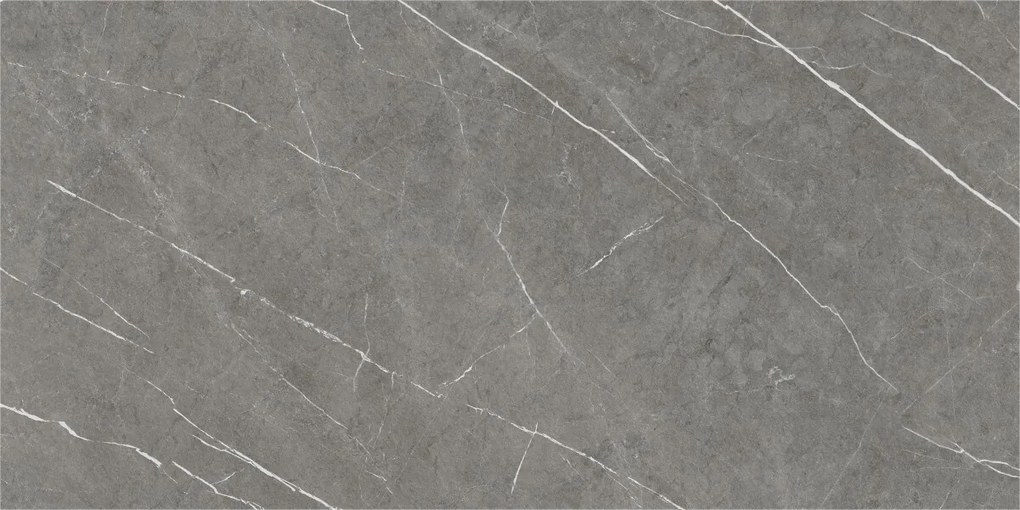 Dlažba Eternal Dark Natural 60x120 R