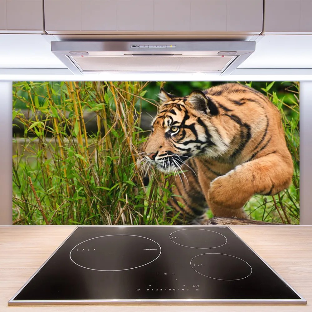 Sklenený obklad Do kuchyne Tiger zvieratá 140x70 cm