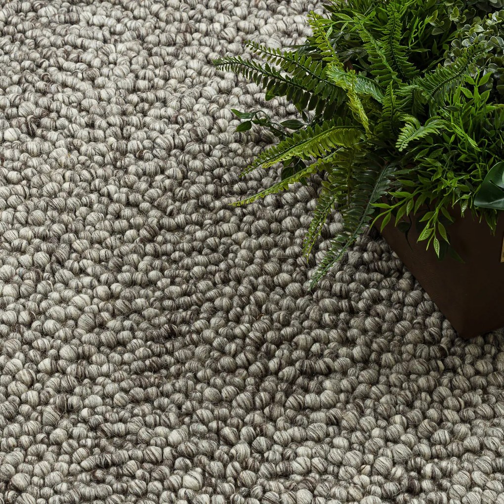 Dywany Łuszczów, Kusový koberec Tahar 99005 antra, 160x240, šedá, obývacia izba