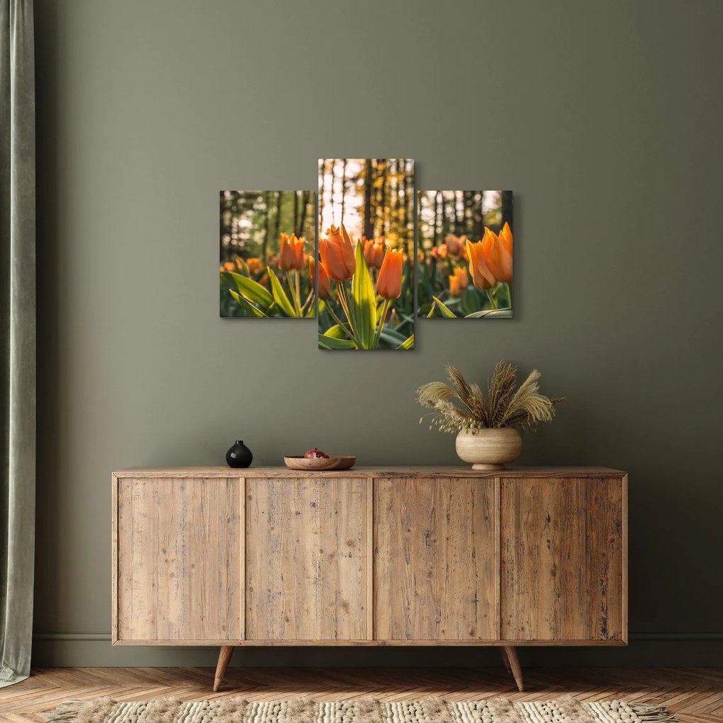 Obraz - kvety tulipánov (90x60 cm)