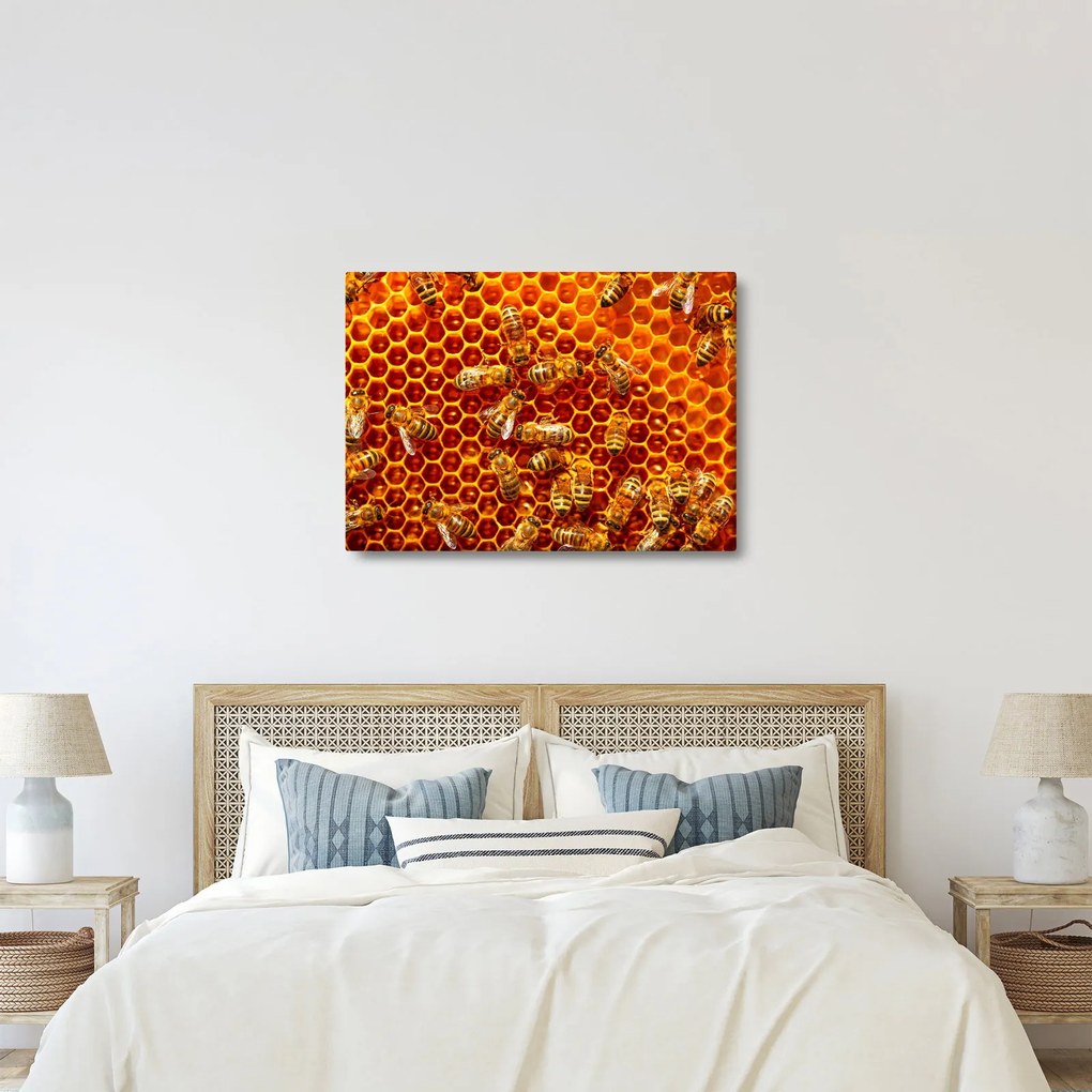 Obraz - Medový plást (70x50 cm)