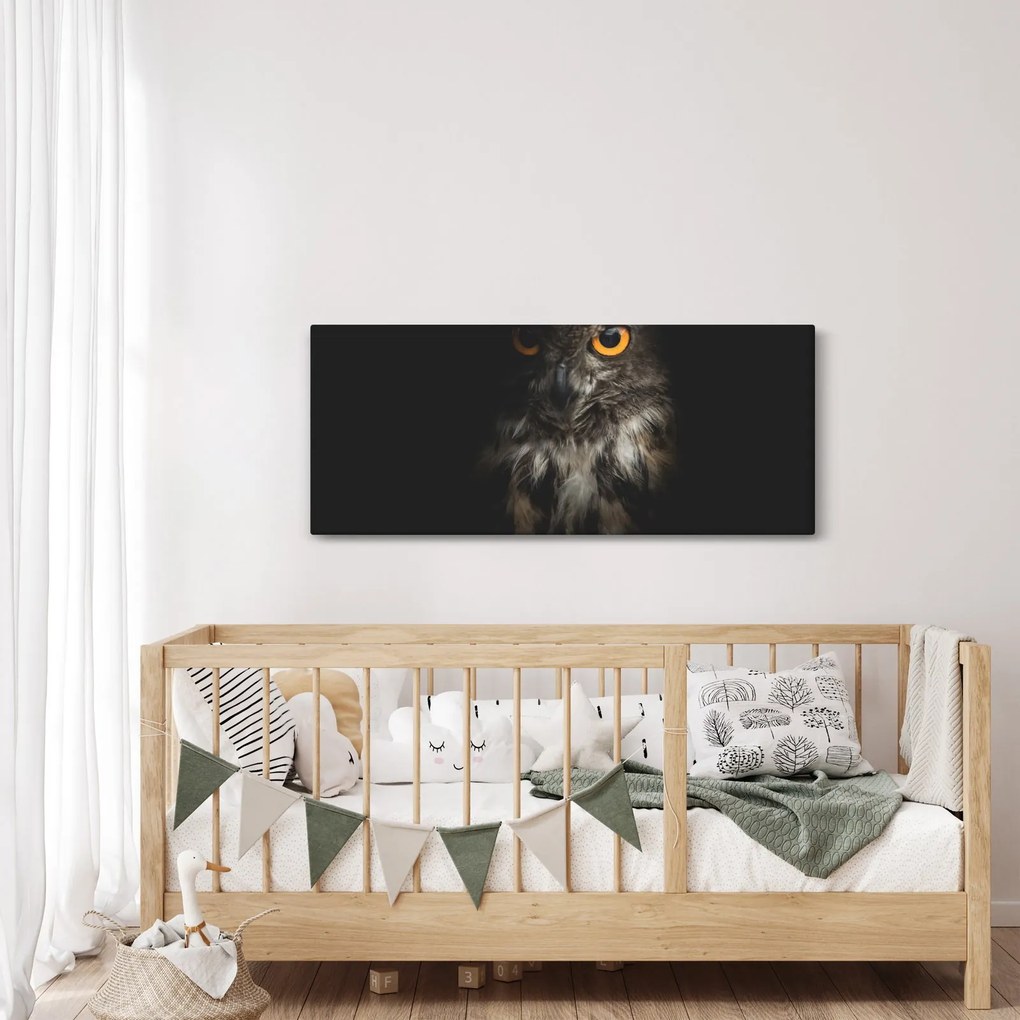Obraz sovy (120x50 cm)