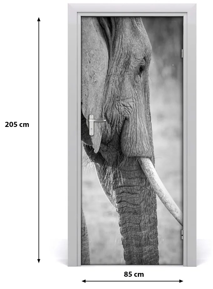 Samolepiace fototapety na dvere slon 85x205 cm