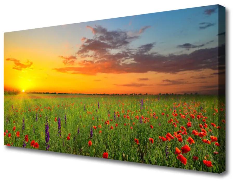 Obraz Canvas Slnko lúka kvety príroda 120x60 cm