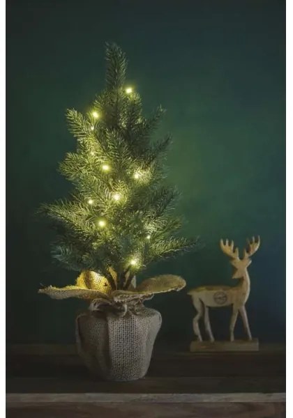 LED Vianočná dekorácia 20xLED/3xAA