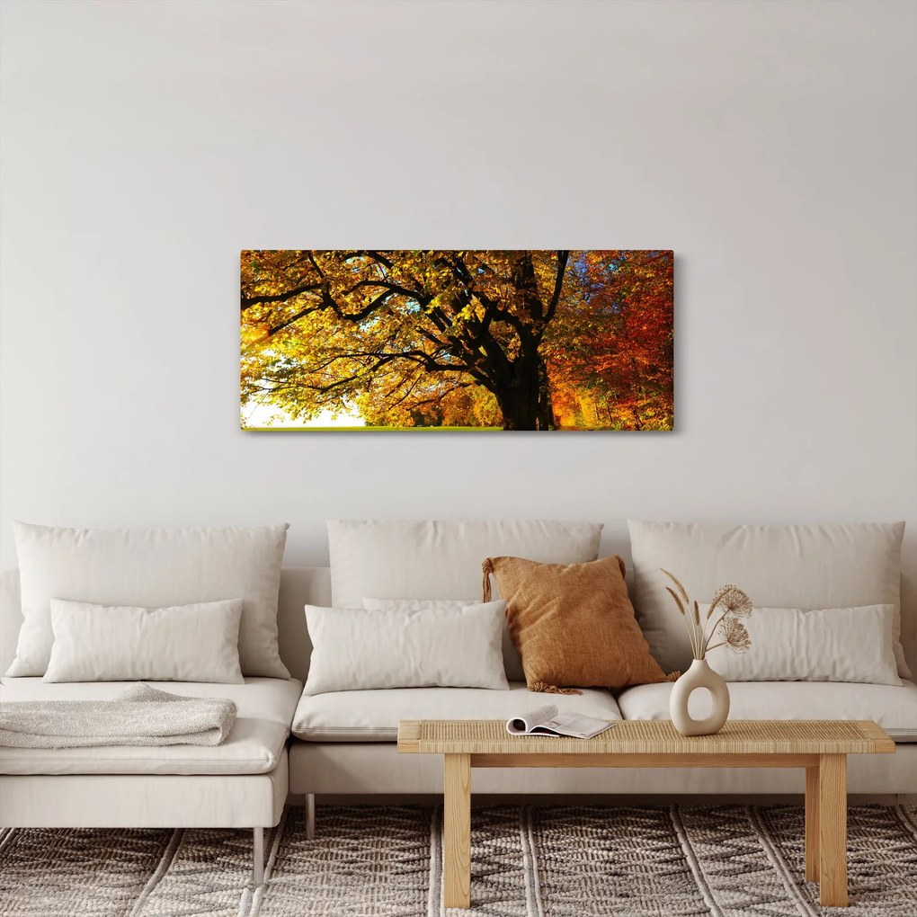 Obraz jesenného stromu (120x50 cm)