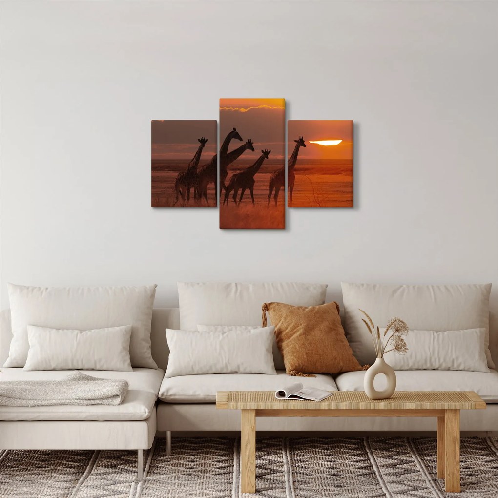 Obraz - Žirafy v africkej savane (90x60 cm)