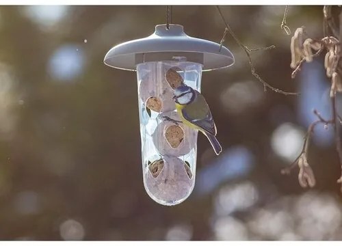 Plastia Kŕmidlo pre vtáky Robin, antracit