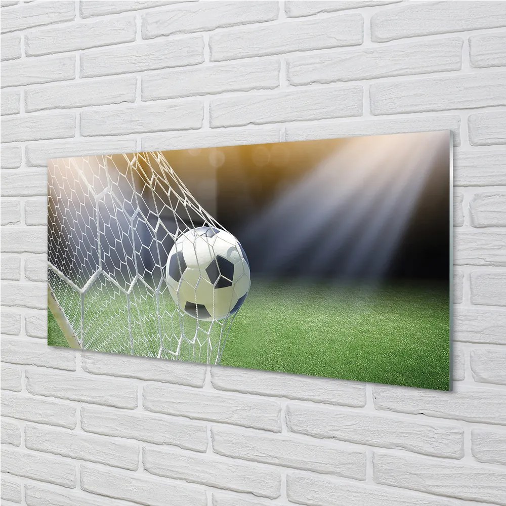 Obraz plexi Futbalový štadión 125x50 cm