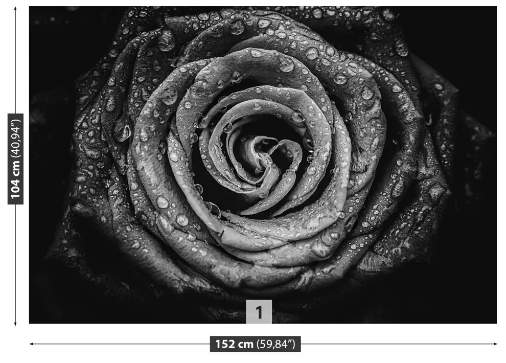 Fototapeta Vliesová Ruža čierna 104x70 cm