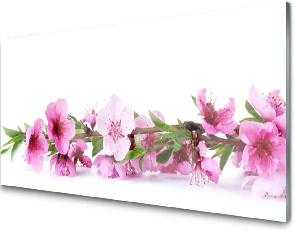 Obraz plexi Kvety Rastlina Príroda