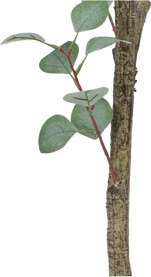 Umelý eukalyptus (výška 180 cm) Eucalyptus – Ixia