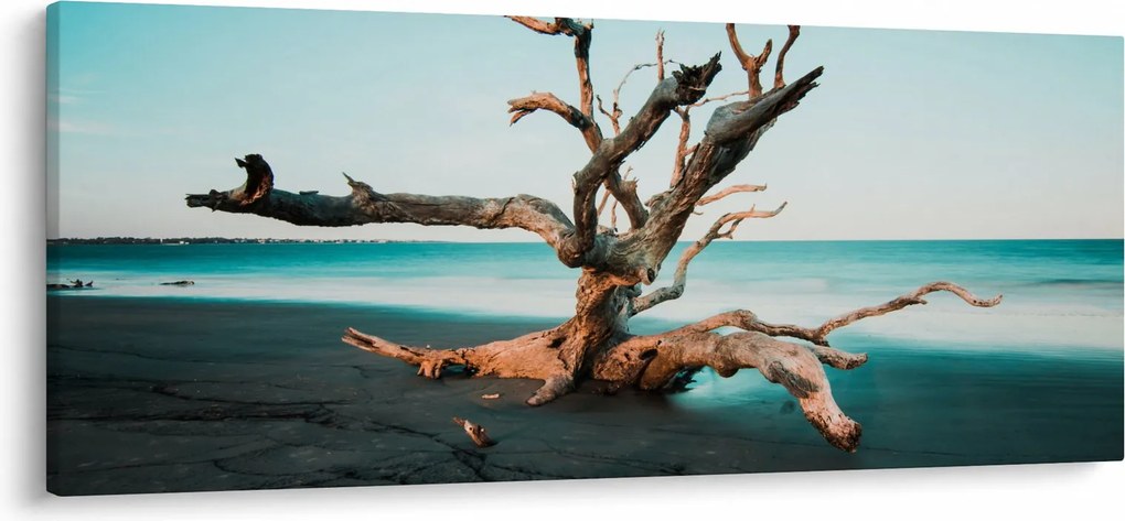 Obraz - Vyplavenie na pláži (120x50 cm)