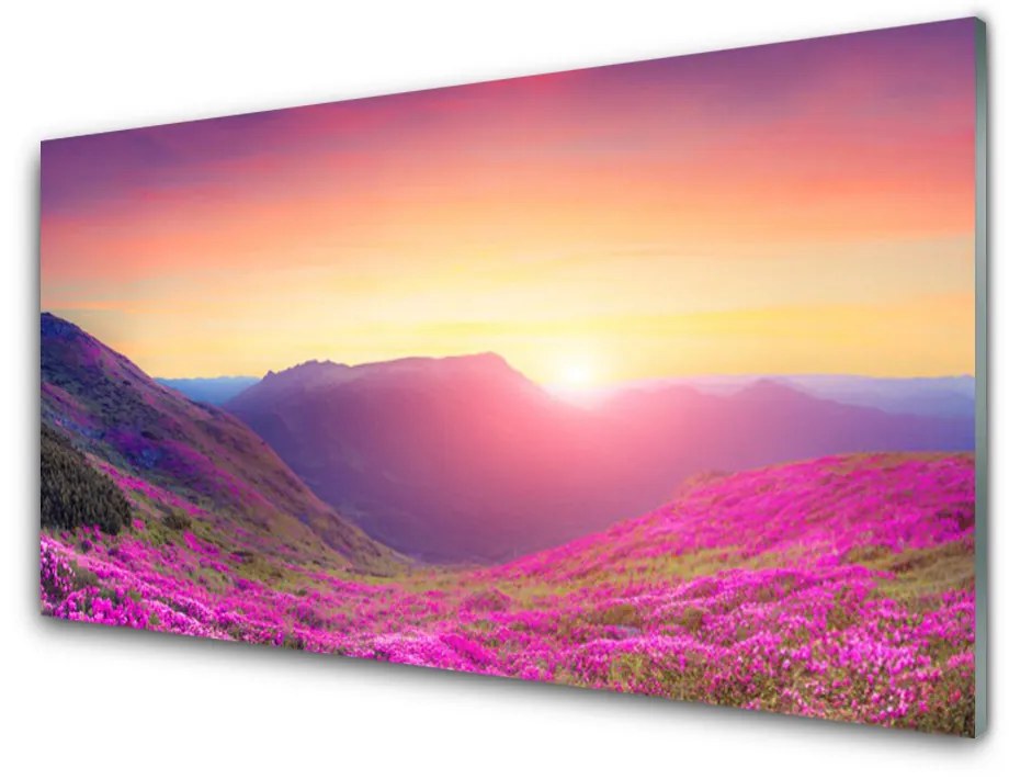 Obraz plexi Slnko hory lúka príroda 100x50 cm