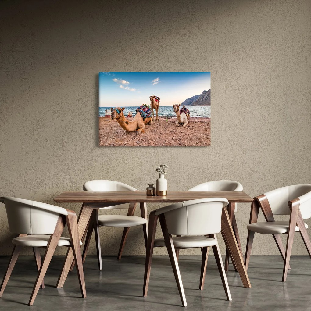 Obraz tiav (90x60 cm)