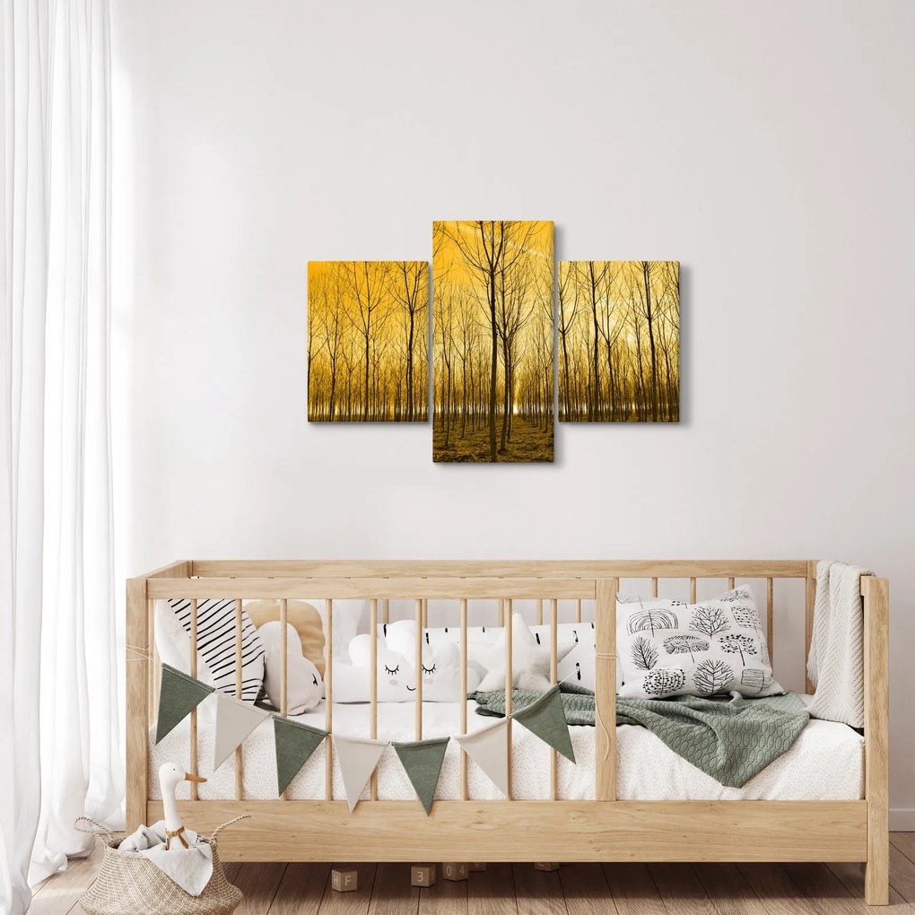 Obraz lesa pri západe slnka (90x60 cm)