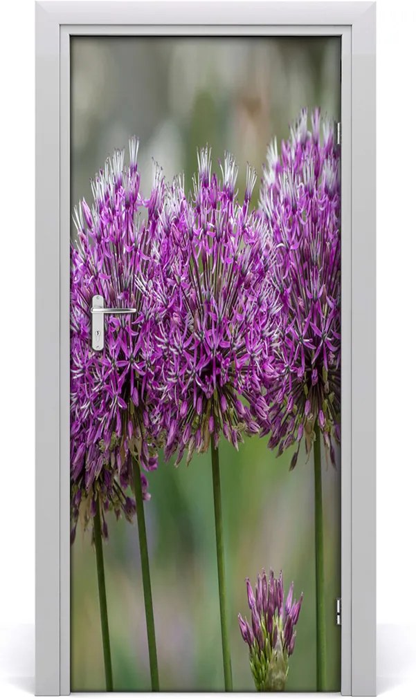 Fototapeta samolepiace  kvet cesnaku