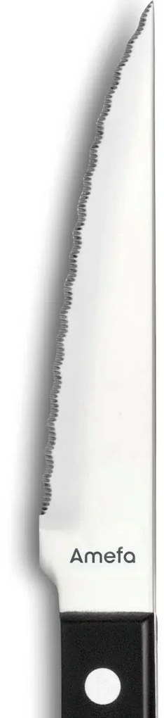 Amefa 6-dielna súprava steakových nožov Pizza