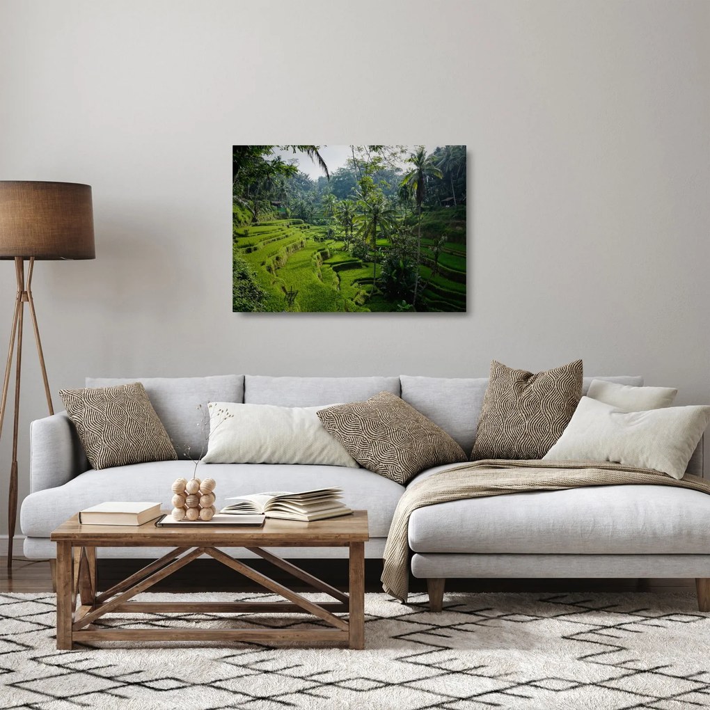 Sklenený obraz ryžových terás Tegalalang, Bali (70x50 cm)